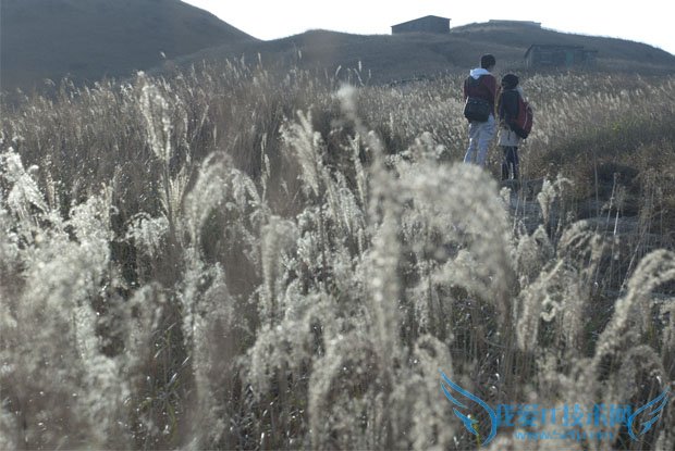 Taste the Atmosphere的封面是怎样拍出来的 我爱IT技术网