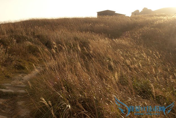 Taste the Atmosphere的封面是怎样拍出来的 我爱IT技术网