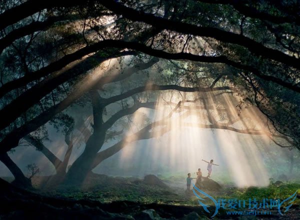 唯美的丁达尔现象