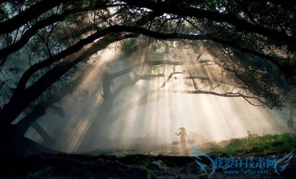 如何拍摄丁达尔现象的唯美画面 我爱IT技术网