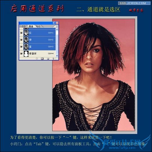 밵֮Ӧͨϵ——2ͨѡ