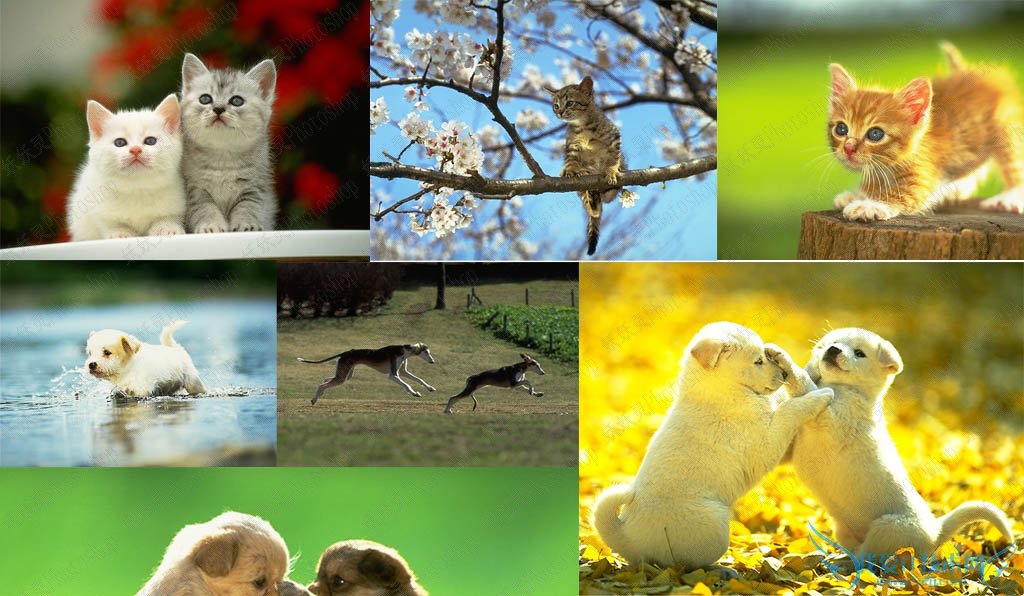 如何用PHOTOSHOP合并图片? 我爱IT技术网教程