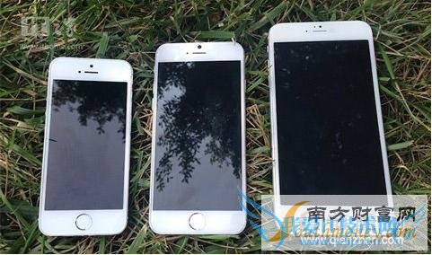 苹果iPhone6两款产品上市不同步 5.5吋将晚于4.7吋上市