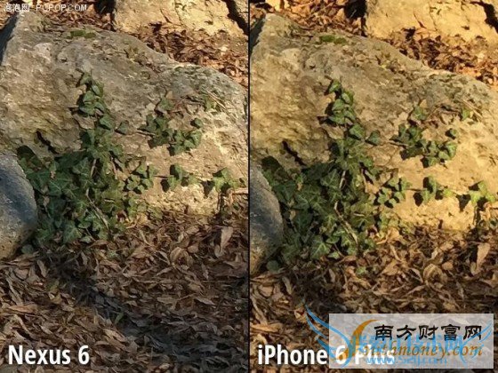 Moto Nexus 6/iPhone 6 Plus նԱ 