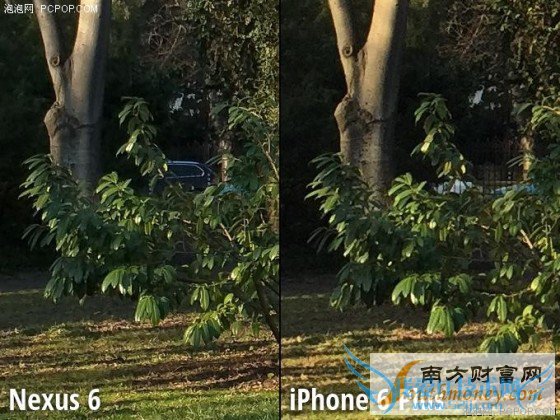 Moto Nexus 6/iPhone 6 Plus նԱ 