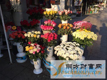 Nexus 6/iPhone 6 Plus ˭ǿ