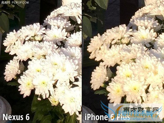 Moto Nexus 6/iPhone 6 Plus նԱ 