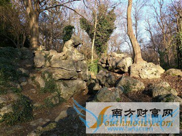 Nexus 6/iPhone 6 Plus ˭ǿ