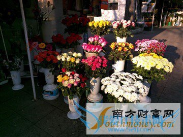 Nexus 6/iPhone 6 Plus ˭ǿ