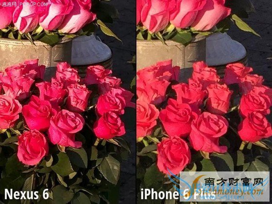 Moto Nexus 6/iPhone 6 Plus նԱ 