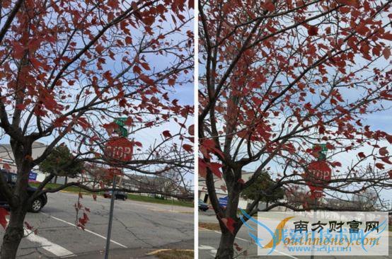 iPad Air 2/iPhone 6ԱȣֻȻʤ