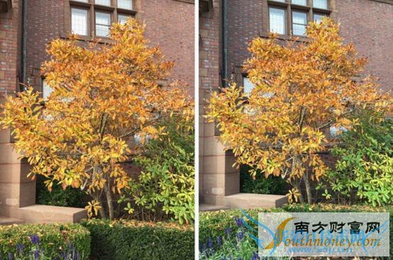 iPad Air 2/iPhone 6ԱȣֻȻʤ