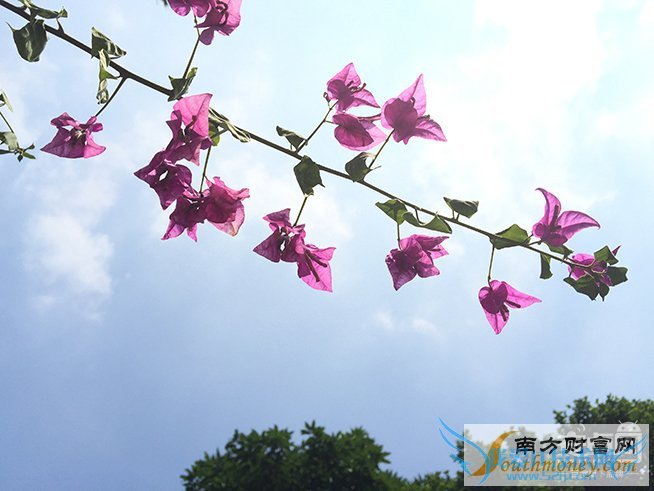 iPhone 6s Plus,拍照对比,6 Plus,差别大吗