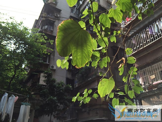 iPhone 6s Plus,拍照对比,6 Plus,差别大吗