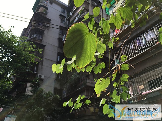 iPhone 6s Plus,նԱ,6 Plus,