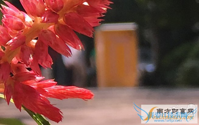 iPhone 6s Plus,拍照对比,6 Plus,差别大吗