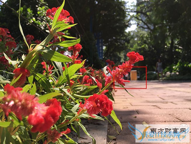 iPhone 6s Plus,拍照对比,6 Plus,差别大吗