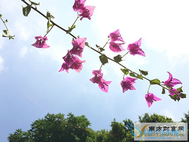 iPhone 6s Plus,拍照对比,6 Plus,差别大吗