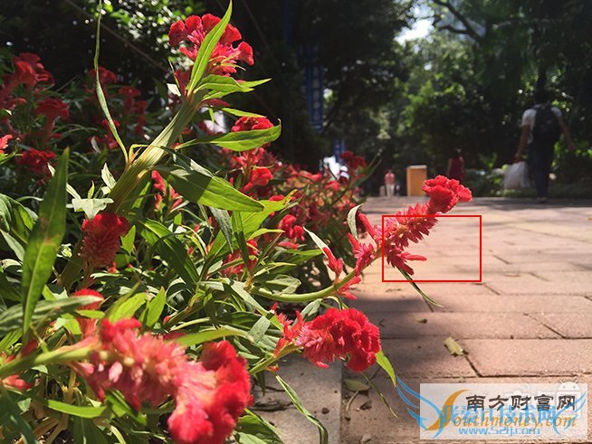 iPhone 6s Plus,拍照对比,6 Plus,差别大吗