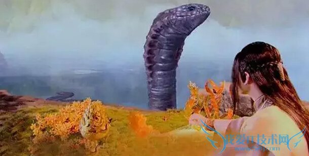 ëǮЧʲô˼ ʲôëǮЧ