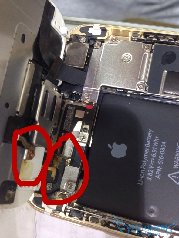 iPhone6进水了怎么办 iPhone6开不了机解决方法