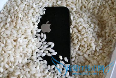 iPhone6进水了怎么办 iPhone6开不了机解决方法