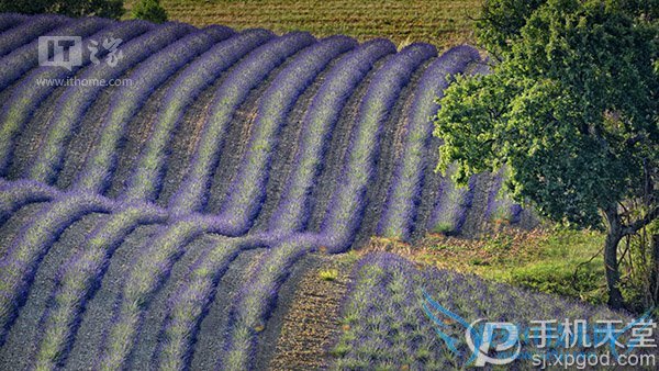 微软7月壁纸好看吗?世界各地风景都有