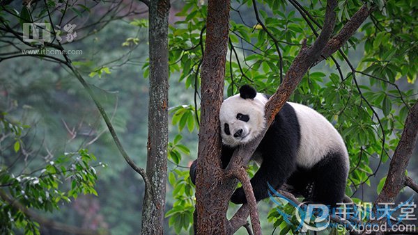 微软7月壁纸好看吗?世界各地风景都有
