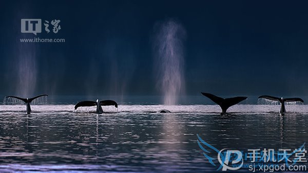 微软7月壁纸好看吗?世界各地风景都有