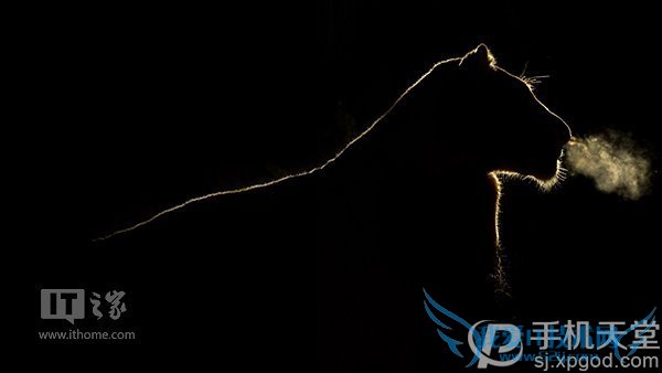 微软7月壁纸好看吗?世界各地风景都有