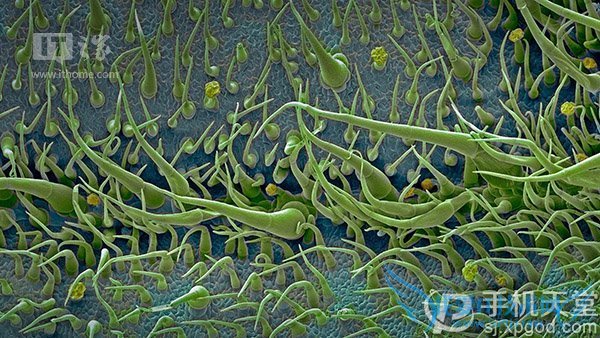 微软7月壁纸好看吗?世界各地风景都有