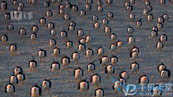 微软7月壁纸好看吗?世界各地风景都有