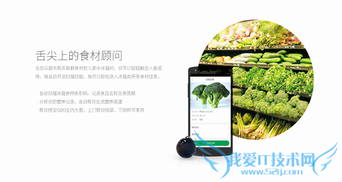 人鱼泪珠有什么功能 人鱼泪珠功能