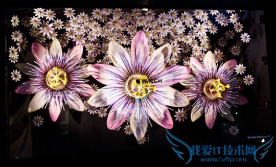 苹果9月9日发布会曝光 iPhone 6s/6s Plus硬件全面升级