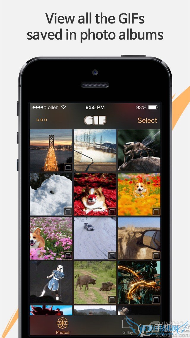 iPhoneͼô棿iPhoneʹGIF̳