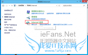 教你解决打开IE11后的各种显示异常2