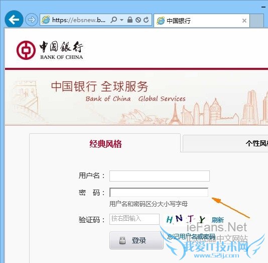 中国银行网银正常显示密码输入框 中国银行网银正常显示密码输入框
