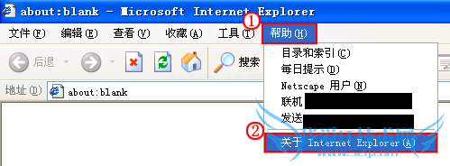 鿴ġ Internet ExplorerϢ