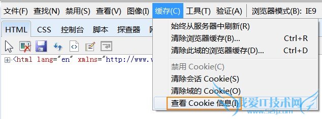 IEв鿴ǰվCookieϢ 