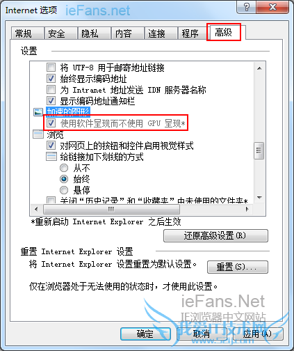 “使用软件呈现而不使用 GPU 呈现” 呈现灰色