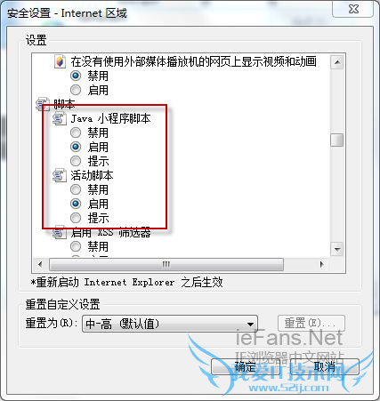 启用 Java 小程序脚本 和 活动脚本