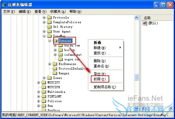 打开 Domains 键值的权限设置