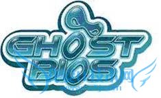 Ghost BIOS的恢复方法