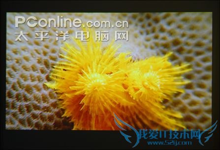 WPS720无线投影系统 WPS720无线投影系统