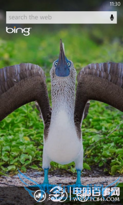 WP手机音乐雷达扫描功能开启教程