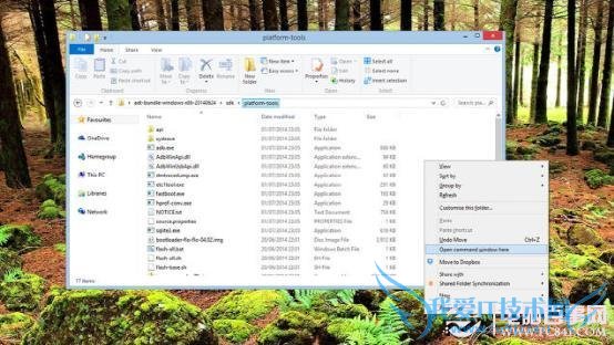 NexusˢAndroid L ΰװAndroid L