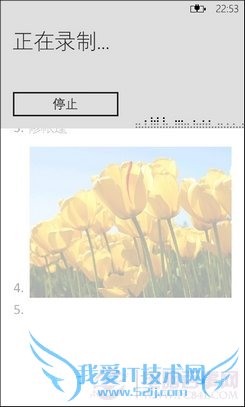 WP7系统Office软件全接触