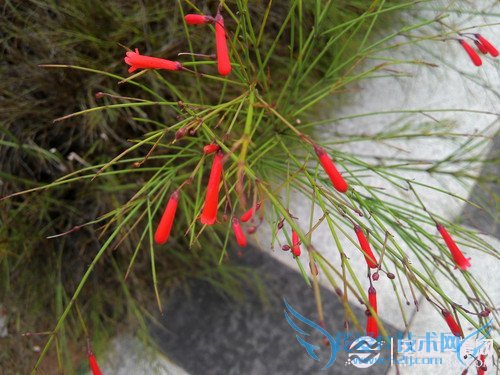 联想K900超级相机使用指南 功能大进化 联想K900超级相机使用技巧