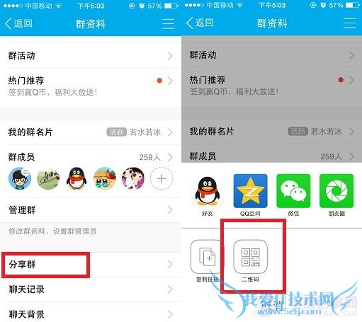 QQȺάôɣQQȺάɽ̳