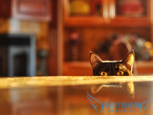 安卓手机防偷窥的小技巧